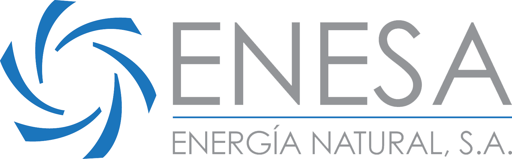ENESA Logo